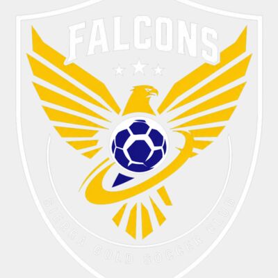 Falcons Thumbnail